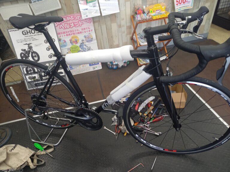 🚲コーダーブルーム　ファーナクラリス　入荷しました。